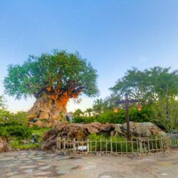 Nike Air Jordan, Green, Size 8