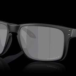 Oakley Holbrook Sunglasses XXL 