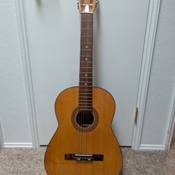True Tone Acoustic Guitar