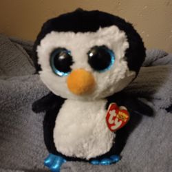 Ty's Larger Boos Boo