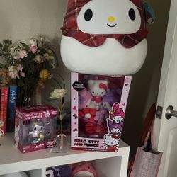 Sanrio Valentines Day Gift