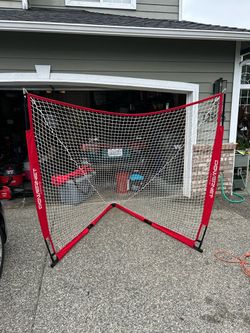 Portable lacrosse goal