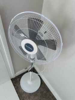 Fan