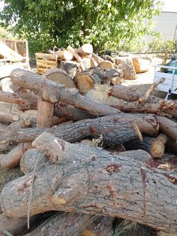 Wood Mixed Wood Good For Any Projects Or Fire