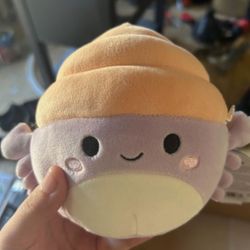arco the hermit crab squishmallow