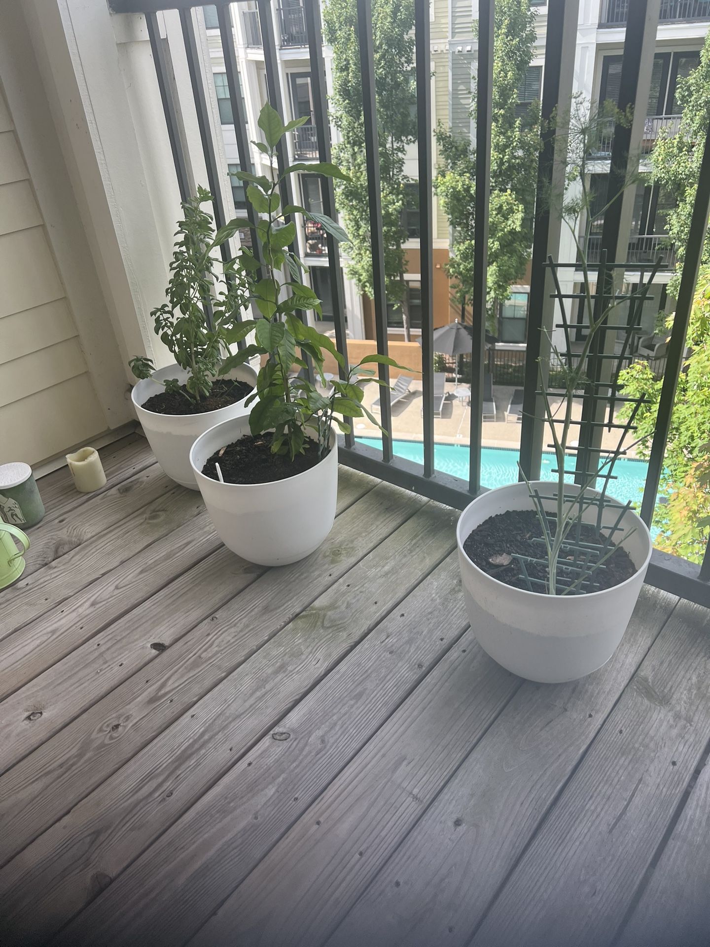 Your One Garden