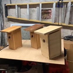 Birdhouses