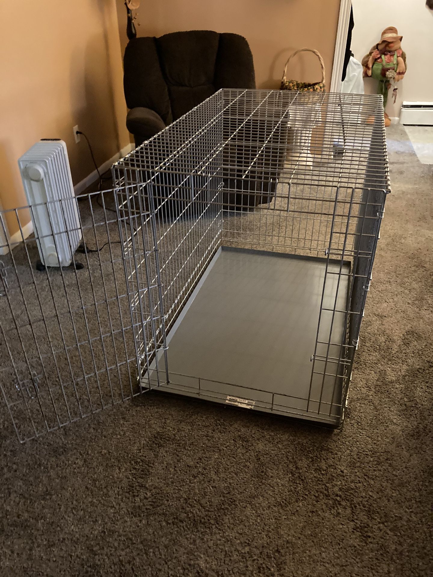 Large metal dog crate