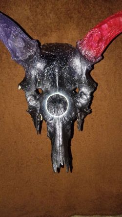 "Equinox" - hand painted deer skull