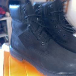 Timberlands Premium 6 Inch Water Proof Boot Black Nut buck 