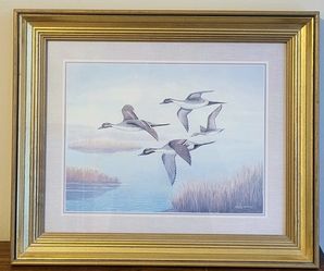 Wall Framed Picture Pintail Ducks Print by Ralph S. Coventry In Wooden Frame