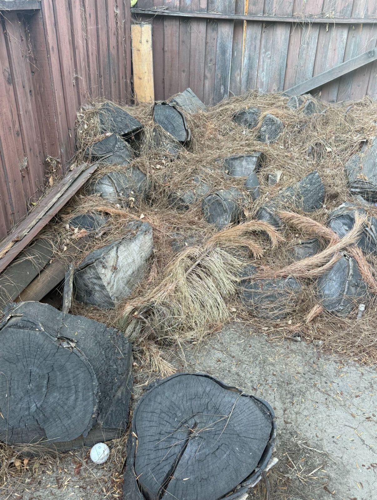 Free Firewood Wood Stumps