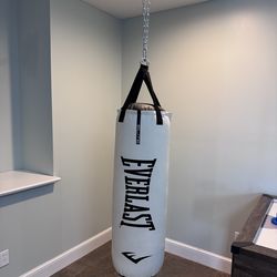 Everlast 70lb Punching Bag