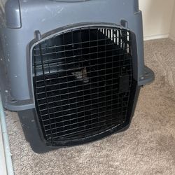 Large Dog Kennel