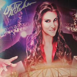 Stephanie Mcmahon Autograph Chair fantastics coa