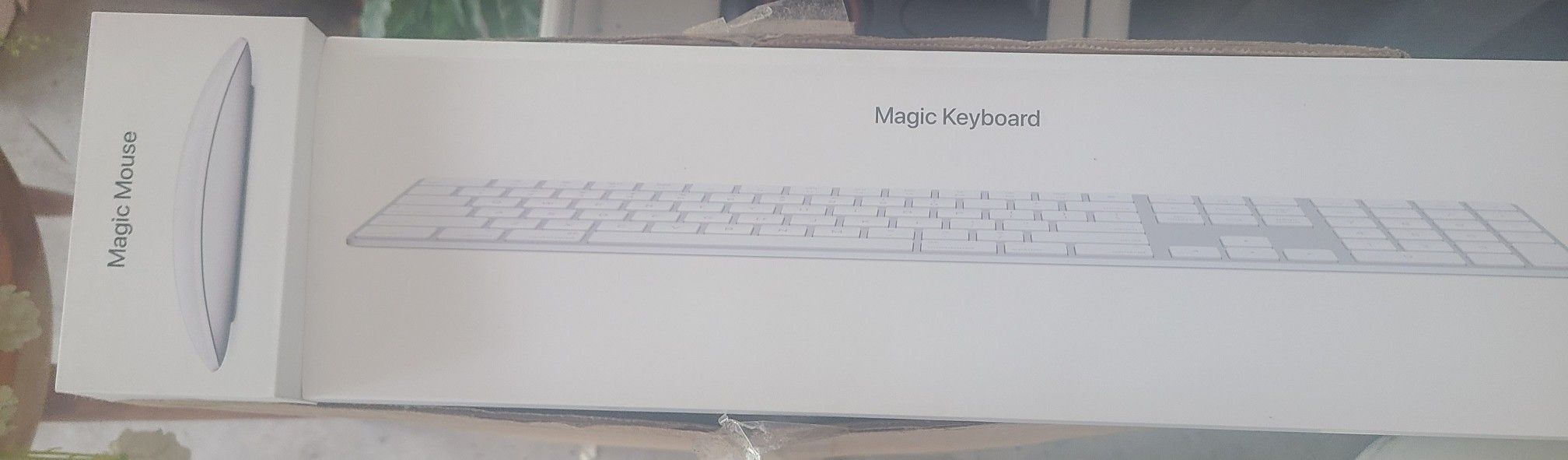 Apple Mouse & Keyboard