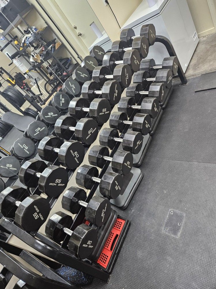 Gym Equipment Fray Fitness Dumbbell Rack Fray Fitness Urethane