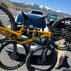 Mountain Bike