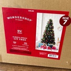 Alberta Spruce Lit Tree