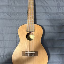 Mitchell ukulele MU50SE