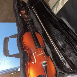 Viola