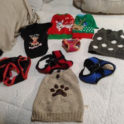 10-piece Small Dog Apparel