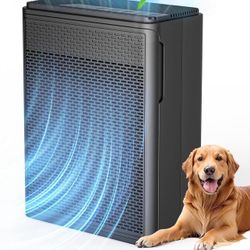Air Purifiers for Home Pets Covers Up to 1500 Sq Ft,H13 True Hepa Filter with Filter Reminder,Pet Hair Dander Smoke Air Cleaner,22 dB Quiet Sleep for 