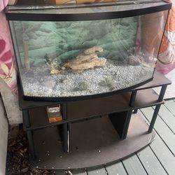55 Gallon Indoor Fish Tank