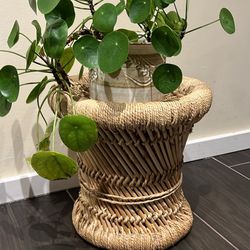 Rattan / Woven Plant Stand Or Stool
