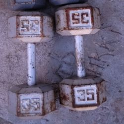 35 Lb Dumbells
