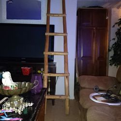 Custom Build Ladder