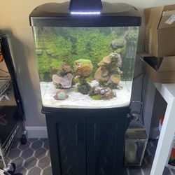 32g Salt Water Reef Aquarium 