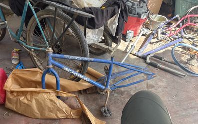 Schwinn