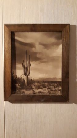 2 desert pictures from the 1950's