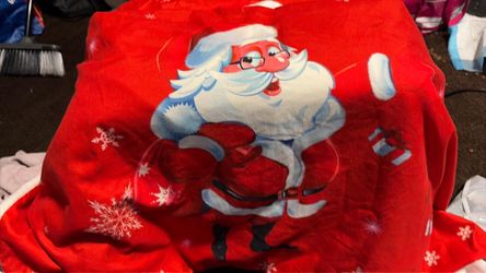 Two pillow sham cases for 4,00