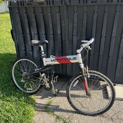 Montague Folding Bike