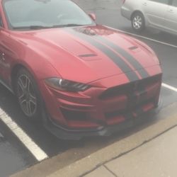 Ecoboost Fastback 2020 Modified Cobra “Tribute” 