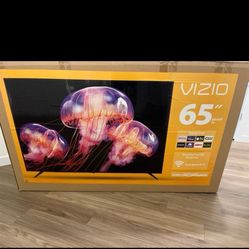 Vizio Quantum 4k 65” TV (2025)