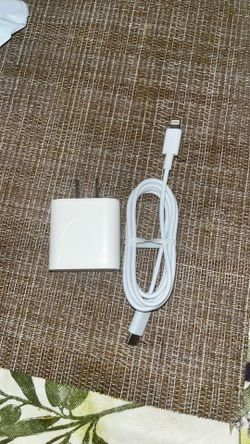 Fast charger