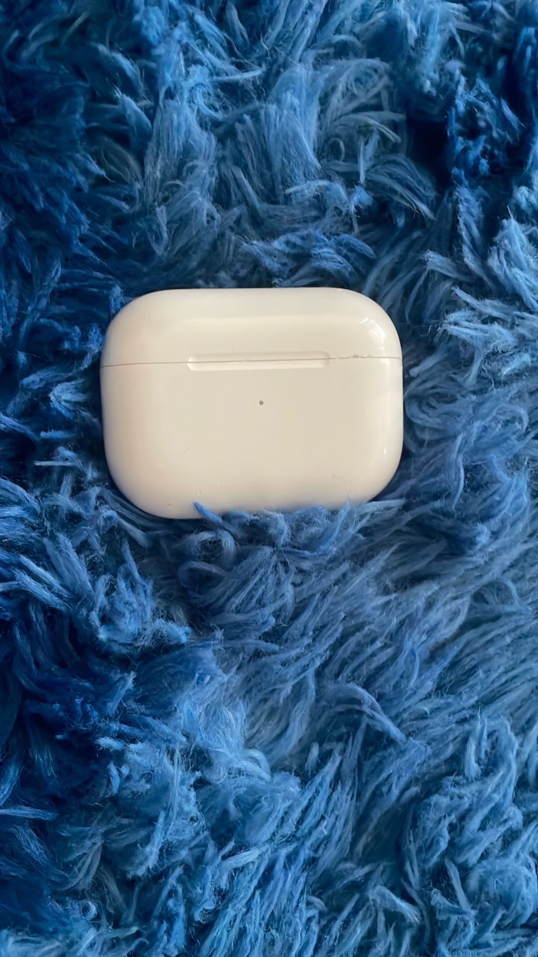 Air Pod Pro Case