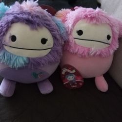 Caparinne and Eden Squishmallows