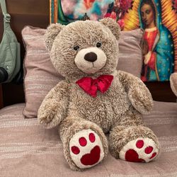 Teddy Bear Plush