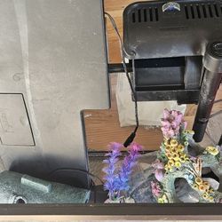5 Gallon Topfin Aquarium With Accessories