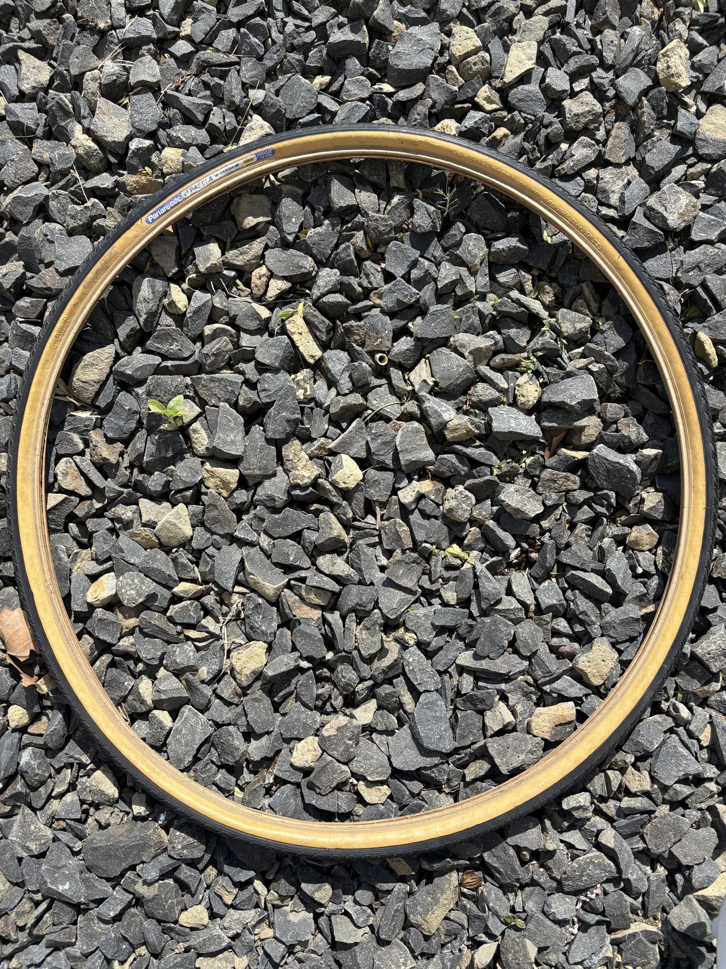 Set of Panaracer Bicycle Tires