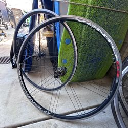 Campagnolo Wheelset