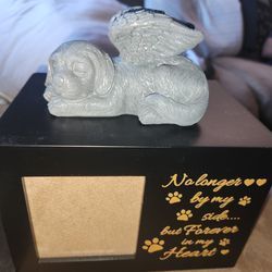Dog Memorial Box