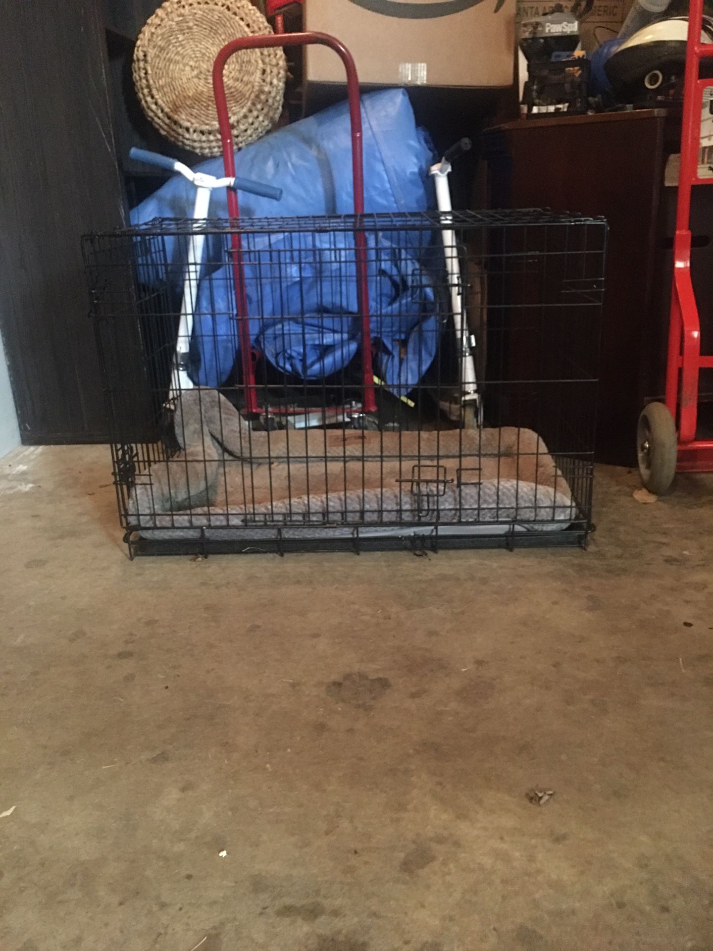 Dog Kennel