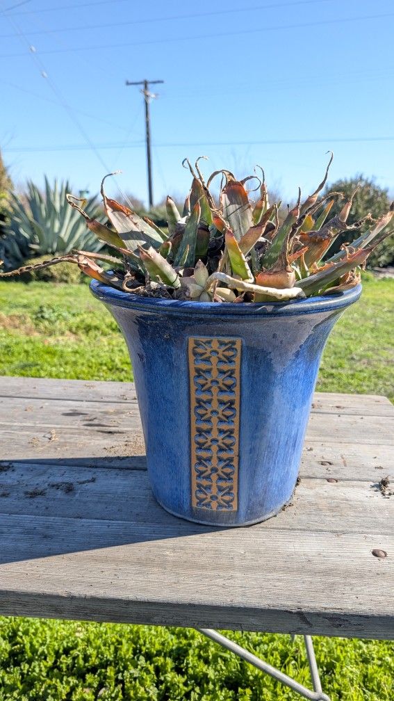 Vintage Blue Ceramic Planter with Raised Motif – Decorative Garden & Yard Pot