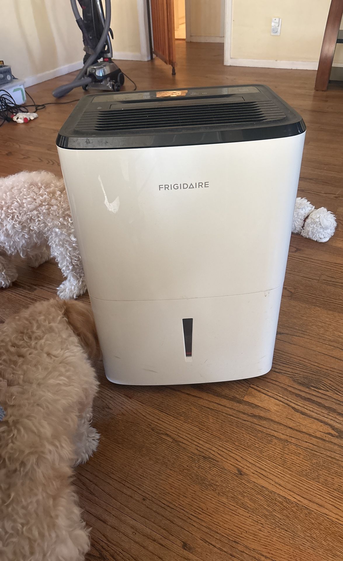 50 pt 200 Sq. Ft Dehumidifier