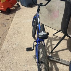Bicycle New